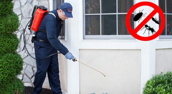 Tekman Böcek İlaçlama böcek ilaçlama ve haşere kontrolü — ilaclama-tr.com